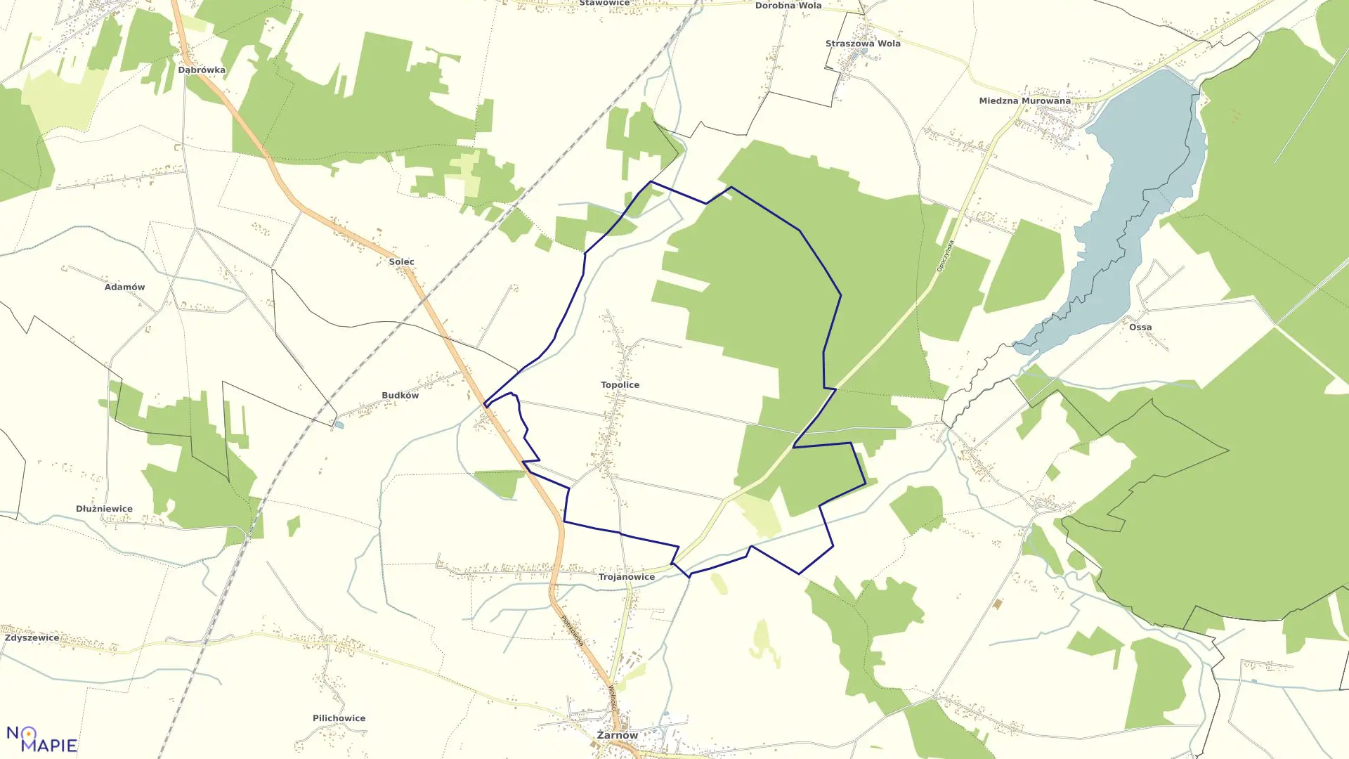 Mapa obrębu TOPOLICE gmina Żarnów